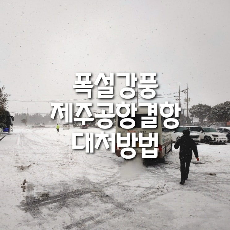 <b>제주</b>공항 폭설 강풍 <b>폭우</b> 결항시 똑똑한 대처방법