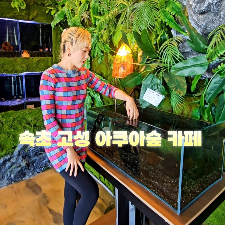  강원도 고성 카페 추천 아쿠아숲 속초 수족관 닥터피쉬체험