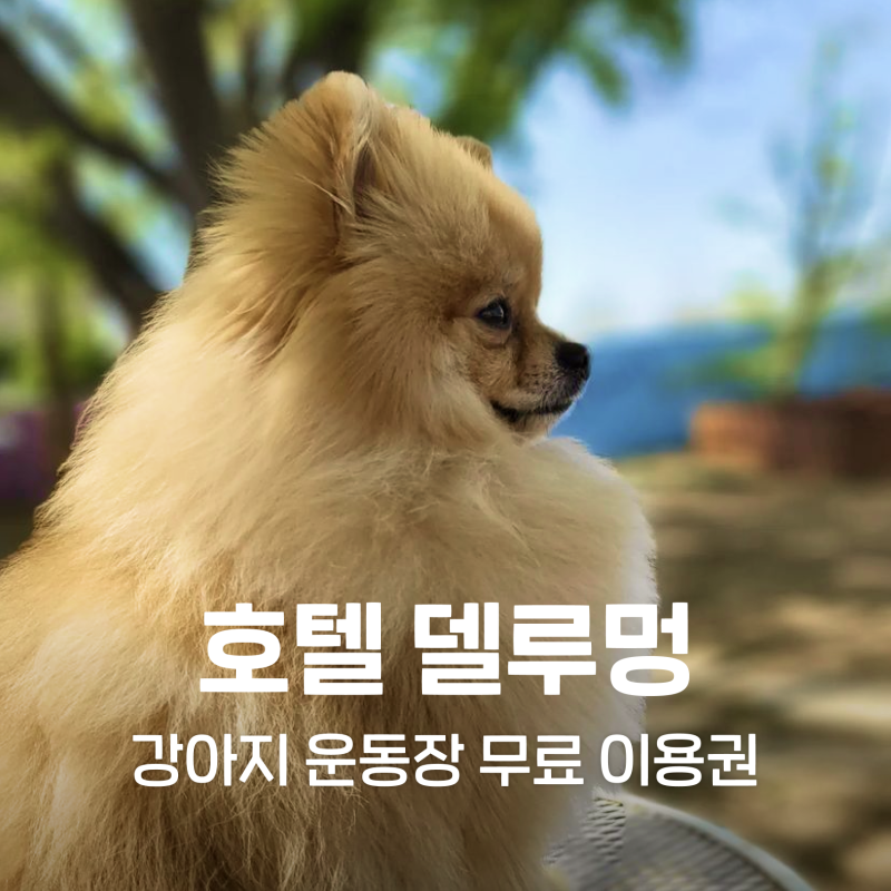 사진 7