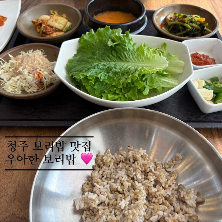   청주율량동맛집_#내돈내산 #건강한한끼 #보리밥맛집 #우아한보리밥 다녀온 후기 