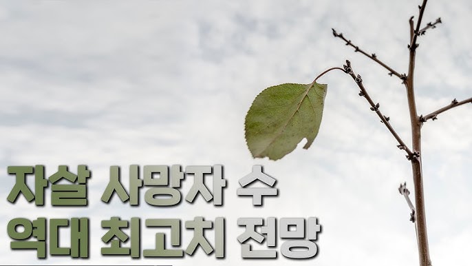 그런데 왜 아무도 관심이 없지? 그런데 왜 아무도 관심이 없지?