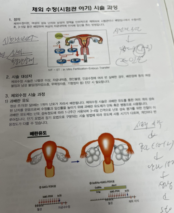  난임일기 인공수정 1차 실패 후 시험관 1차 시도! | 휴식, 손바꿈