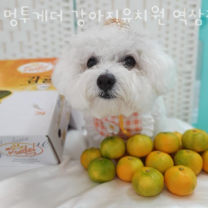 사진 5
