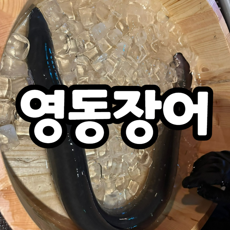  논현동 영동장어에서 강화갯벌장어 먹고 왔어요