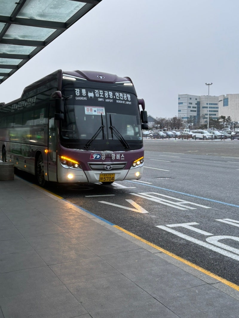 김포공항 시외버스타는곳  feat. 강릉가기