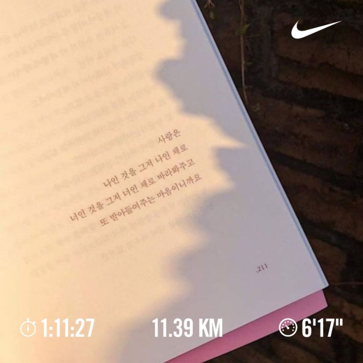 매일 10km 러닝 챌린지 1277일 차