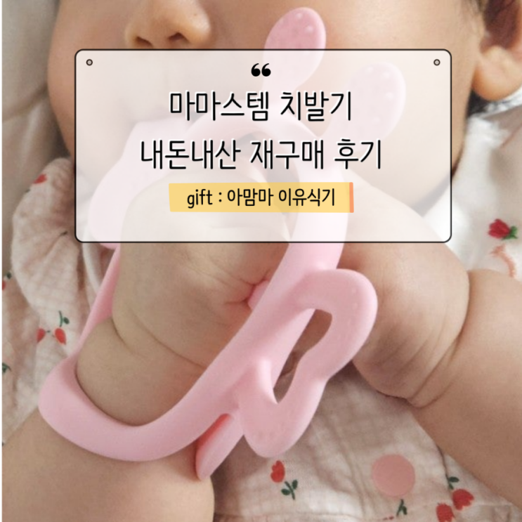  내돈내산 재구매 마마스템 치발기 추천 (Gift.아맘마 이유식기)