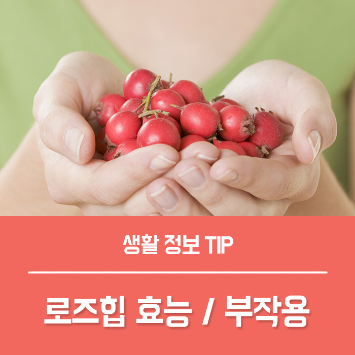  로즈힙퓨레 효능 로즈힙 하루 섭취량 부작용 알아봐요!