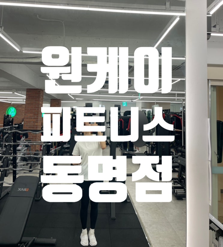 2년째 다니고 있는 헬스장 추천! 광주 원케이 피트니스 동명점 내돈내산 후기 ️ 2년째 다니고 있는 헬스장 추천! 광주 원케이 피트니스 동명점 내돈내산 후기 ️
