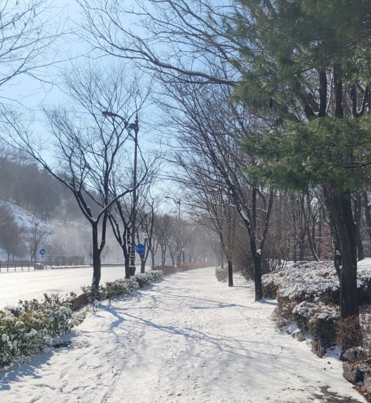  영통 포레파크원 청명산 "왕건이 감자탕" 뼈해장국 감자탕 맛집 내 돈 내산