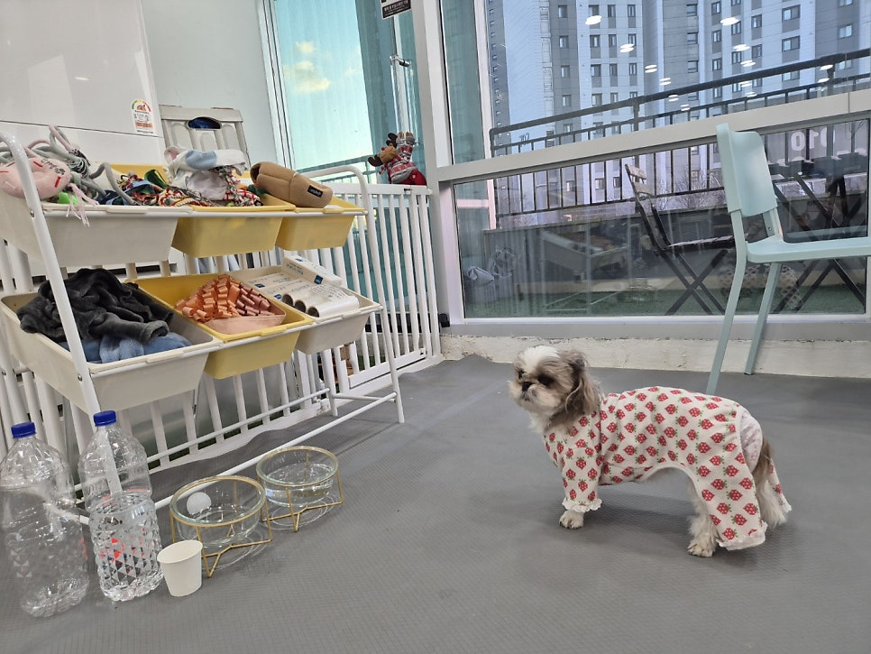 라레랑 사진 2