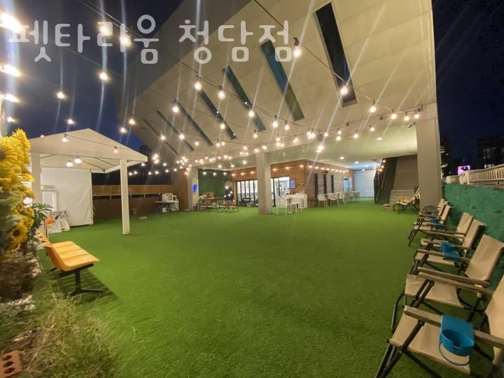 사진 4