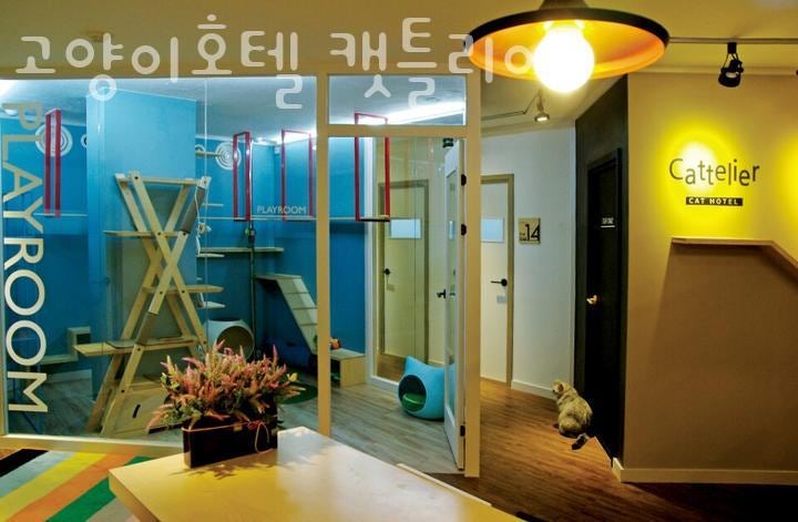 고양이호텔 캣틀리에