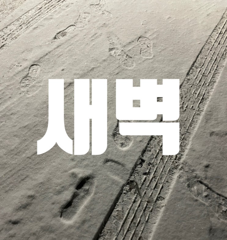 눈길을 헤치고 새벽 기도 다녀옴 🏻 눈길을 헤치고 새벽 기도 다녀옴 🏻