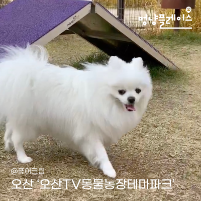 사진 5