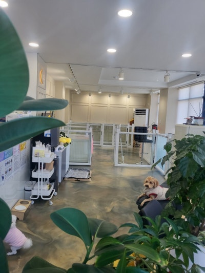 사진 9