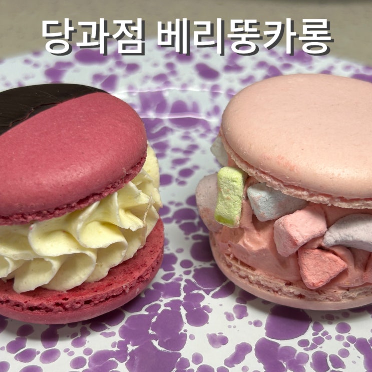  당과점 베리뚱카롱 맛 가격 할인 받는 법