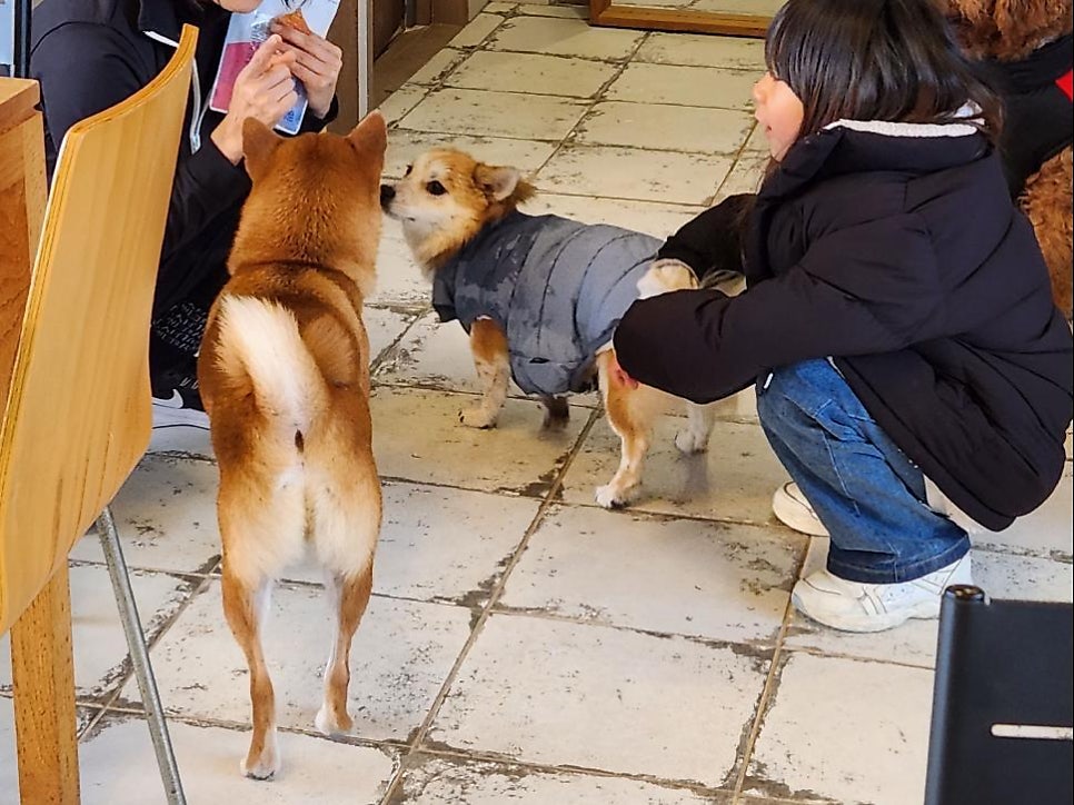 에테르노 사진 2