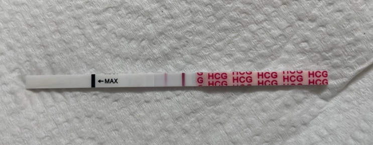  시험관1차 결과 두둥! 피검사(hCG) 수치는?
