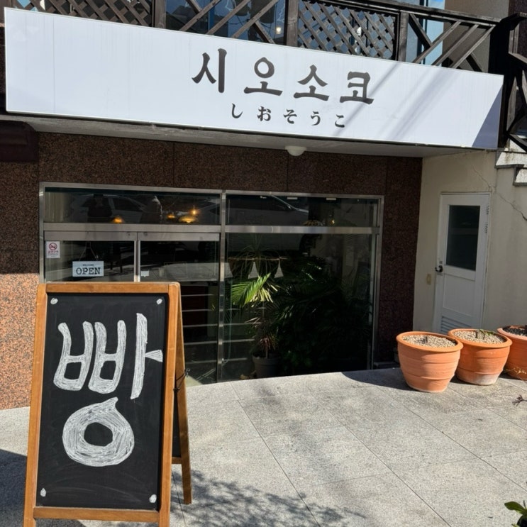  창원 사파동 소금빵 쫀득빵 “시오소코” 모찌빵 맛집