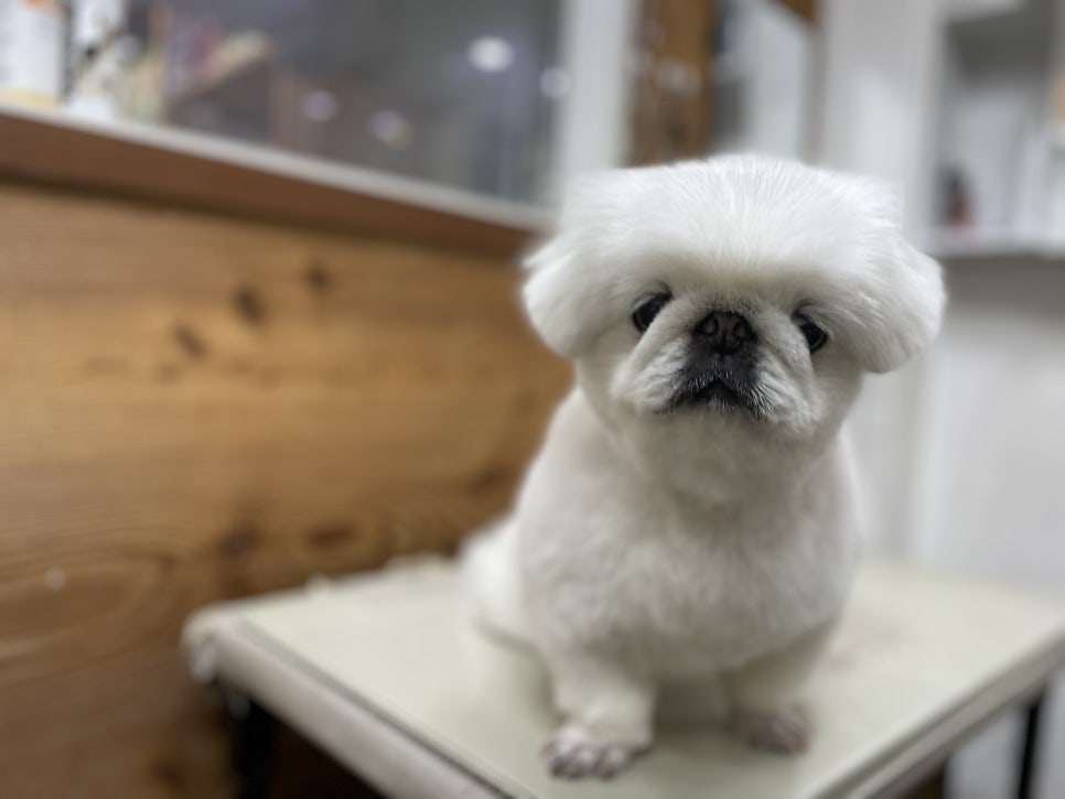 벌툰 몽유도원 인천논현점 사진 1