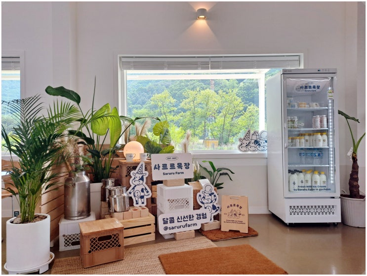  사르르목장_ 산정호수 근처 밀크티 카이막이 맛있는 포천 로컬 카페