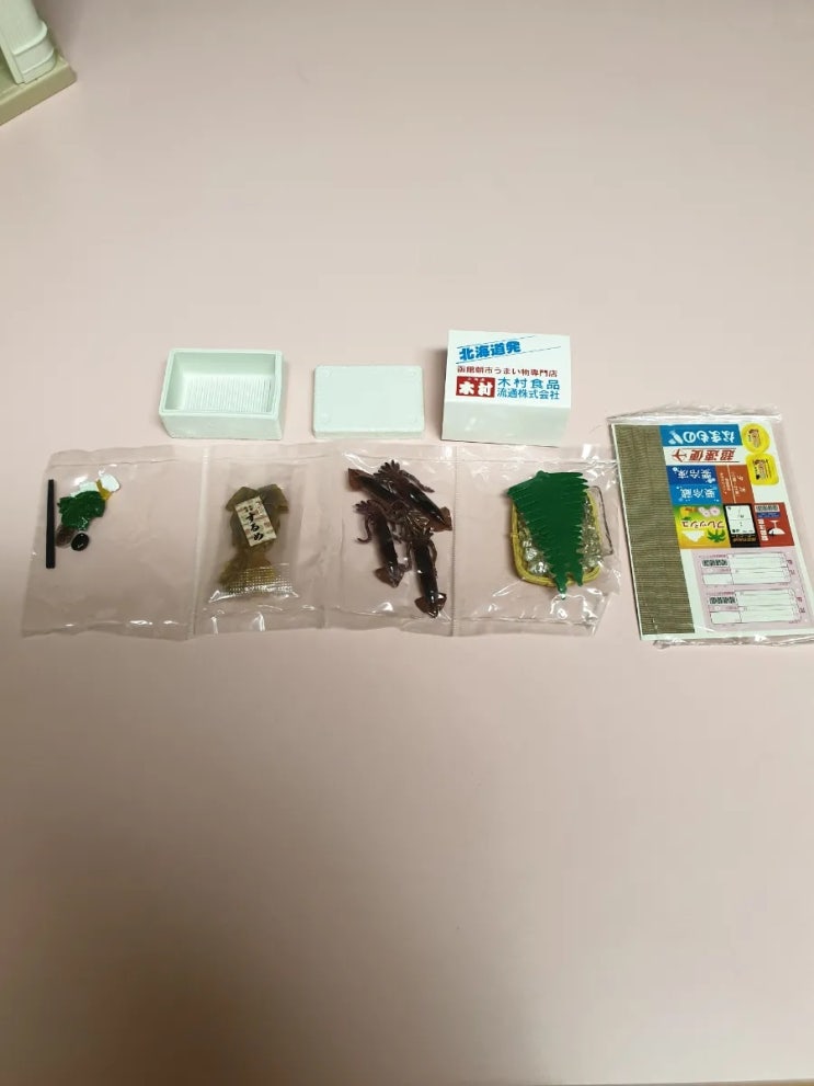  리멘트 산지직송 오징어