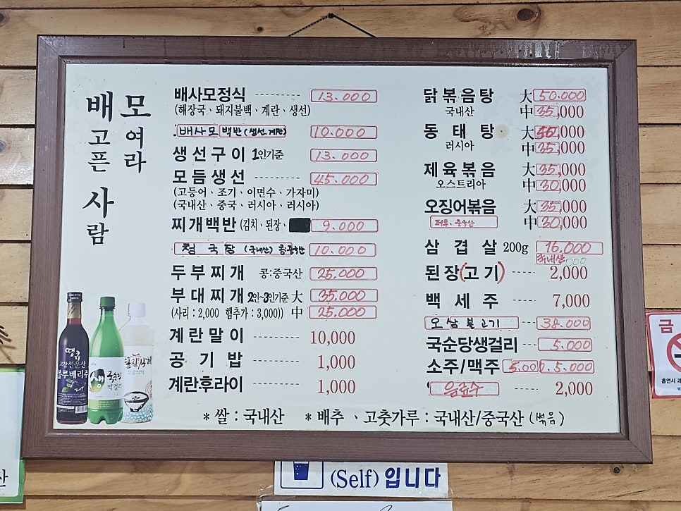 배사모 사진 4