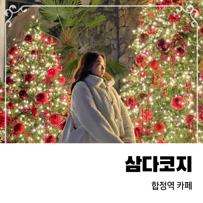  공간마다 트리가 가득한 제주 감성의 합정역카페 삼다코지