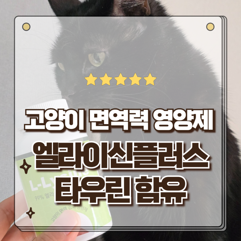 고양이 면역력 강화영양제 엘라이신 플러스 LLysine 타우린함유