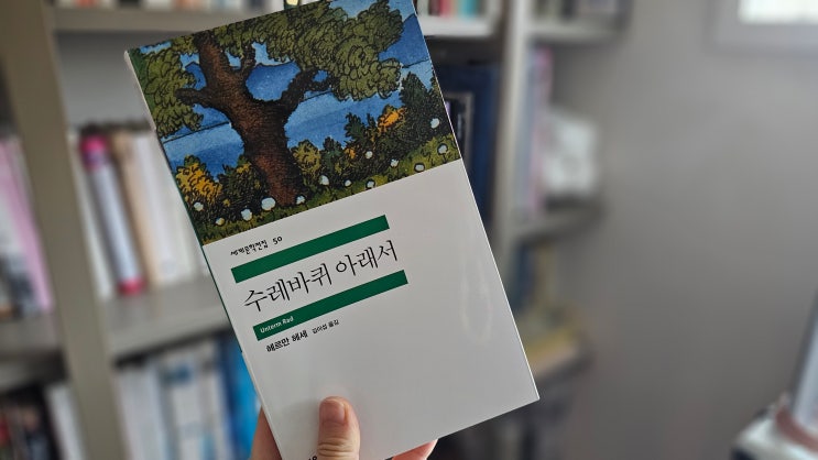  수레바퀴 아래서 리뷰 / 헤르만 헤세의 명작, 줄거리 및 의미분석