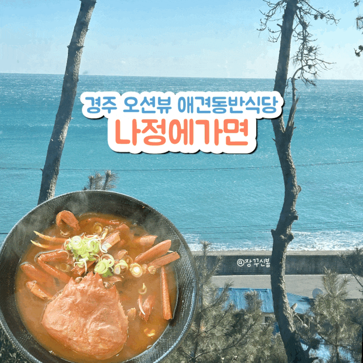 경주 감포 애견동반맛집 바다 보며 즐기는 홍게라면 나정에가면 경주 감포 애견동반맛집 바다 보며 즐기는 홍게라면 나정에가면