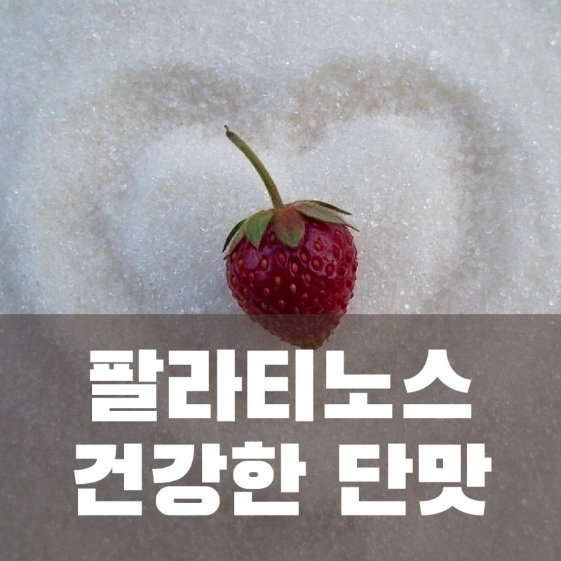 건강한 단맛의 팔라티노스(에너지 충전, 피로 회복)(설탕 대체제)