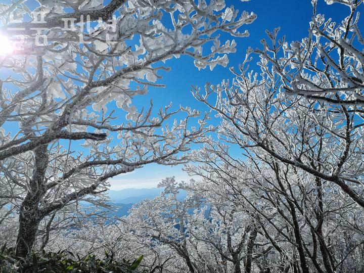 늘품펜션 사진 1