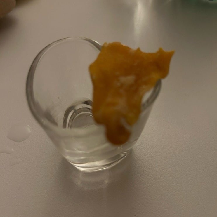  혹한기 근황 셀프 보고