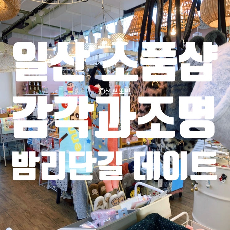  [내돈내산] 감각과조명 방문 후기 | 일산 소품샵 구경
