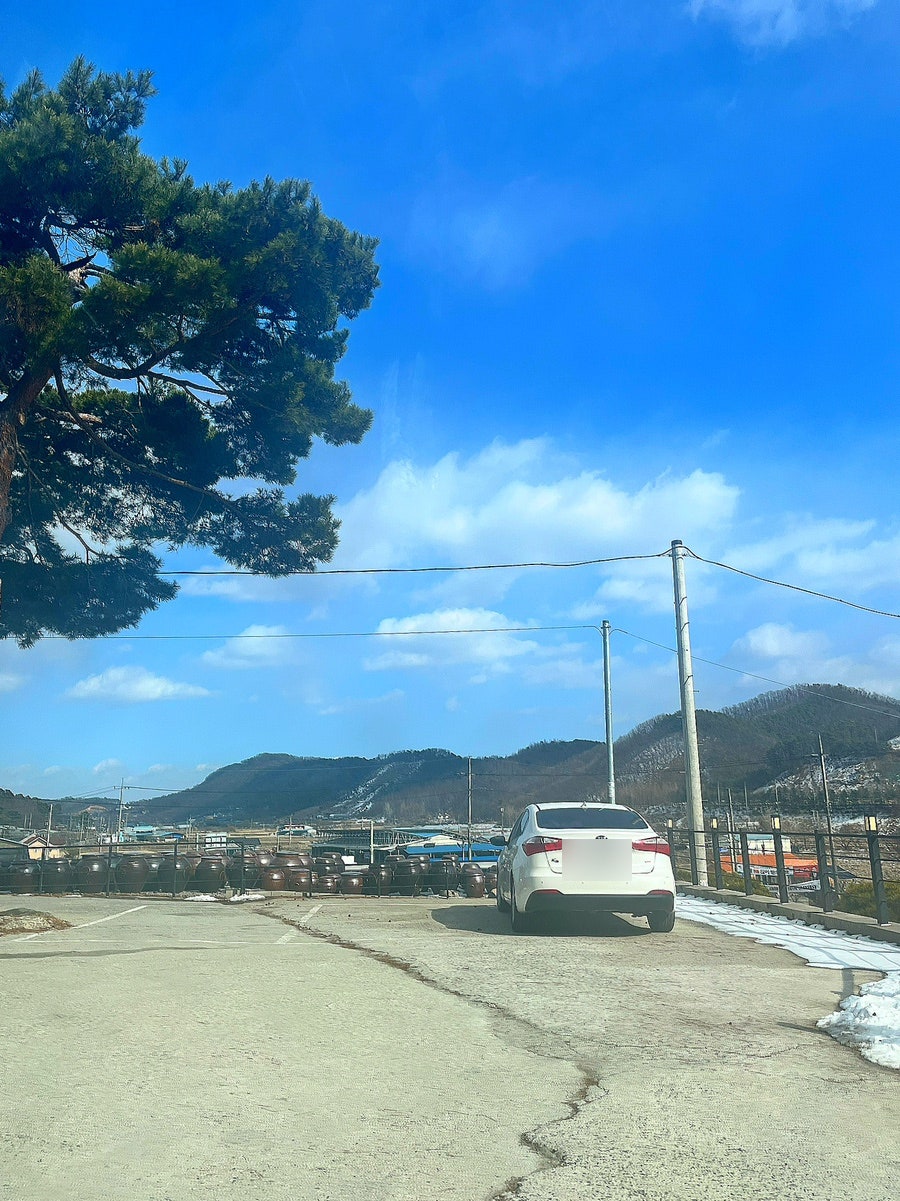 하늘정골청국장 사진 2