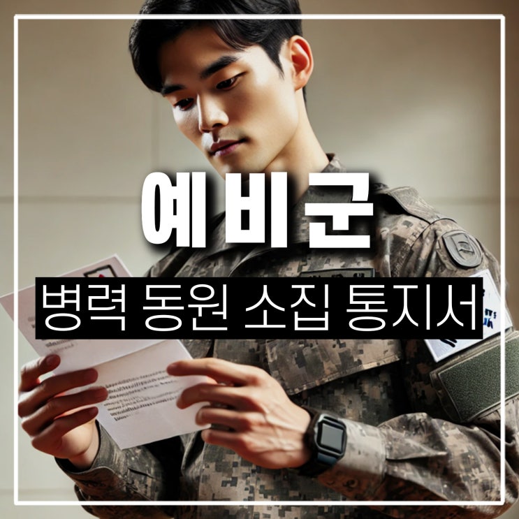  전시대비 예비군 병력 동원 소집 통지서 발급 카톡 확인 방법 분홍색