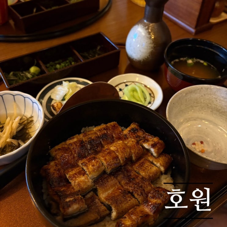   세종장어덮밥맛집_#내돈내산 #아름동맛집 #호원에 다녀온 후기 