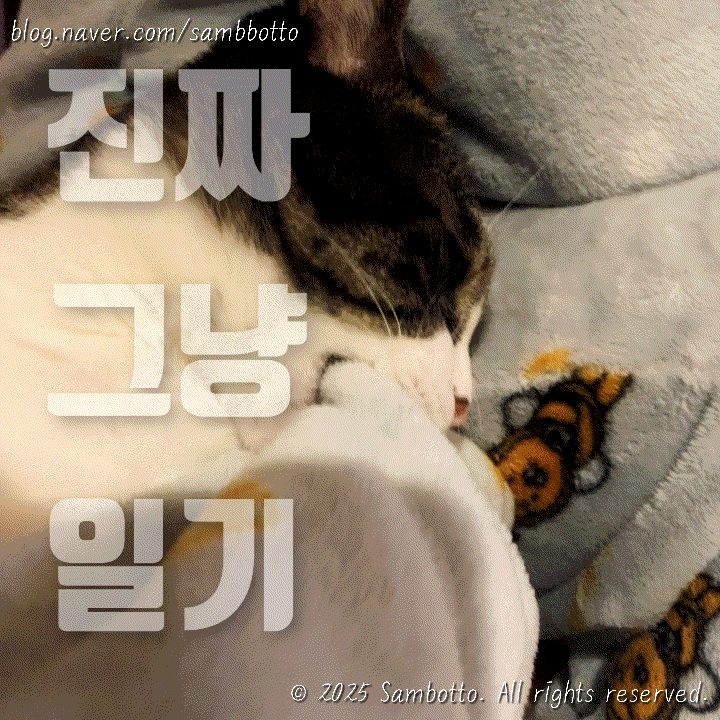  진짜 그냥 일기 | 주말의 기록, 월요일 준비
