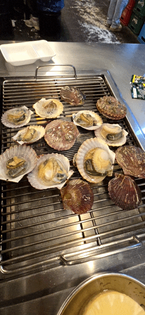  부산 조개구이 무한리필 조개창고 내돈내산 기장맛집