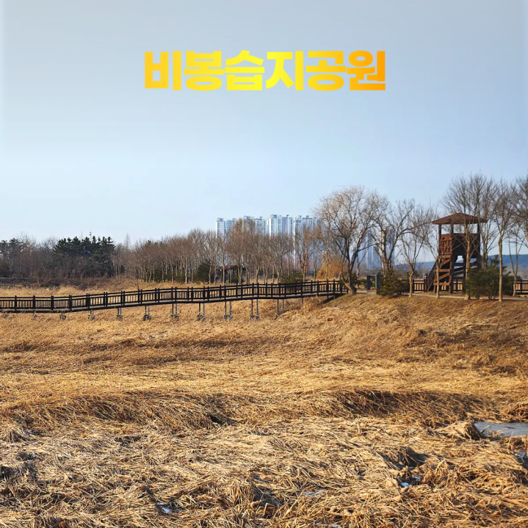 화성 비봉습지공원 사람 없는 전망대 조류관찰대 겨울 풍경 화성 비봉습지공원 사람 없는 전망대 조류관찰대 겨울 풍경