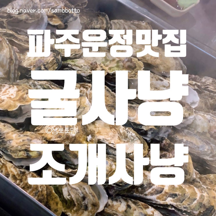  [내돈내산] 새조개 먹으러 갔다가 굴찜으로 대만족! | 굴사냥조개사냥 운정점 후기