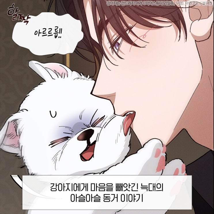  봄툰 19웹툰 BL '강아지는 건드리지 마라'