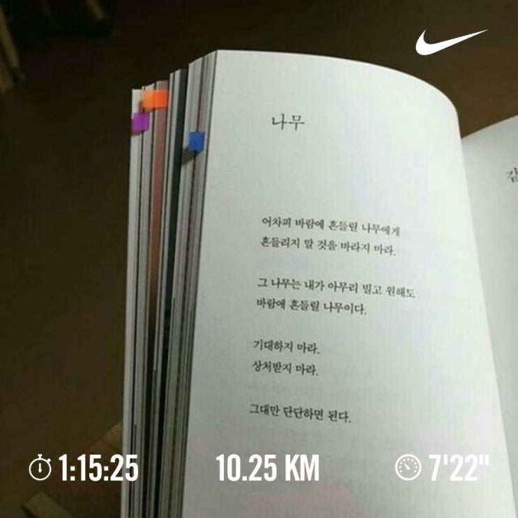 매일 10km 러닝 챌린지 1278일 차