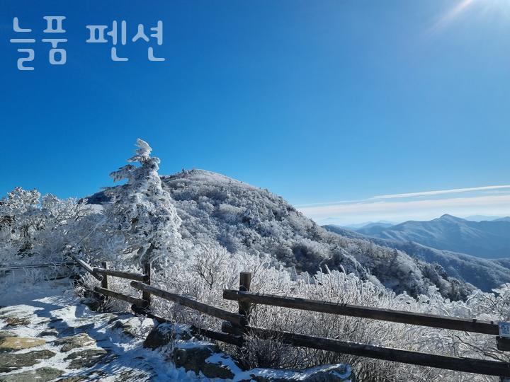 늘품펜션 사진 2