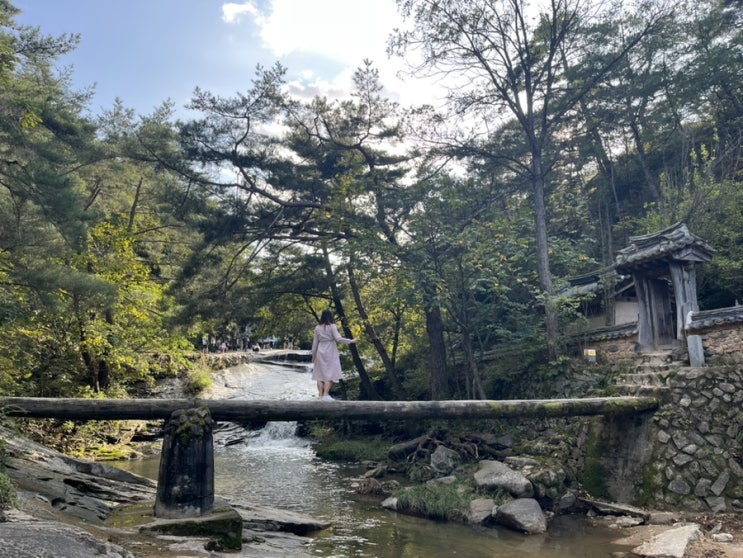  안동여행 "만휴정" 경상북도문화재, 미스터션샤인촬영지