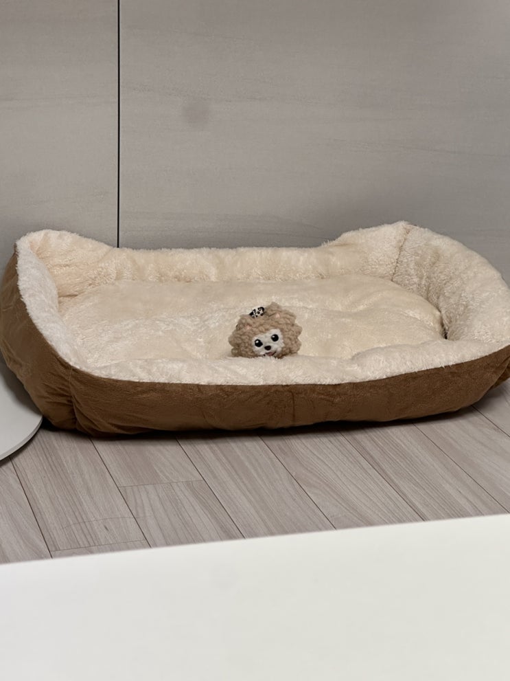  0203-0209 / 다이어터라면서 이것 뭐예요?