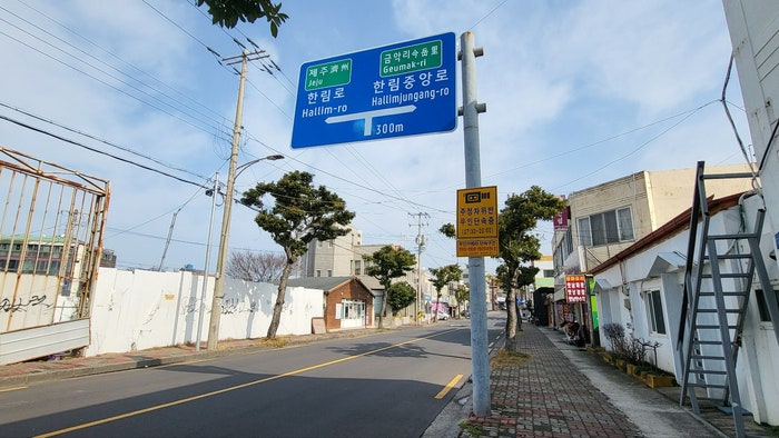 사진 3