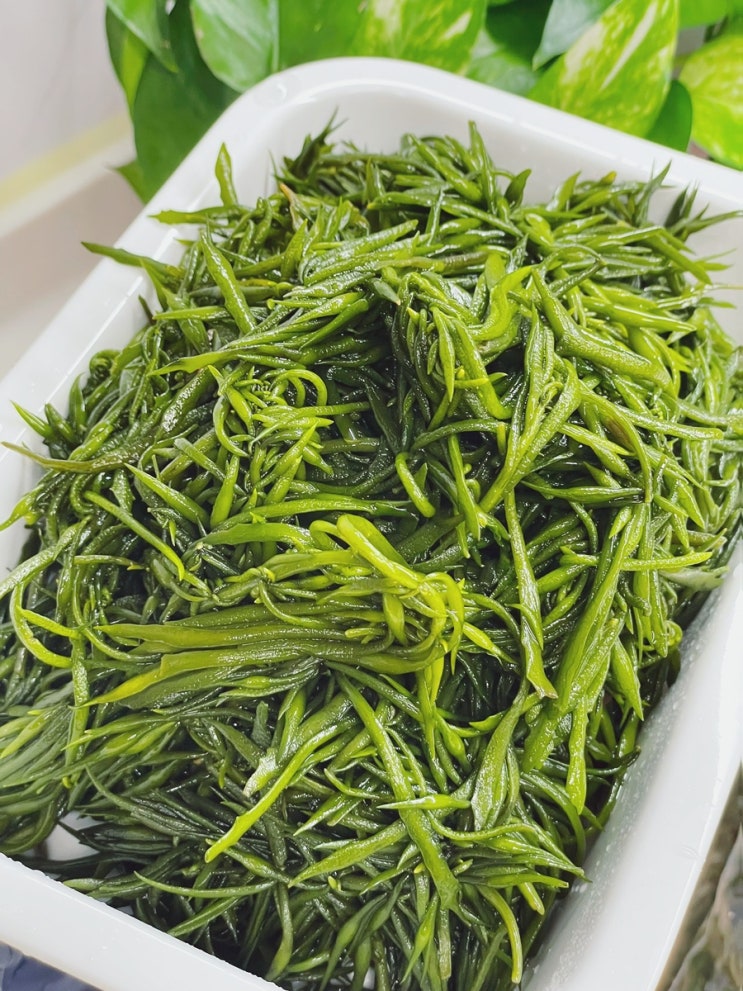  톳손질 생톳 손질법 톳데치기 후 냉동보관 톳나물보관법